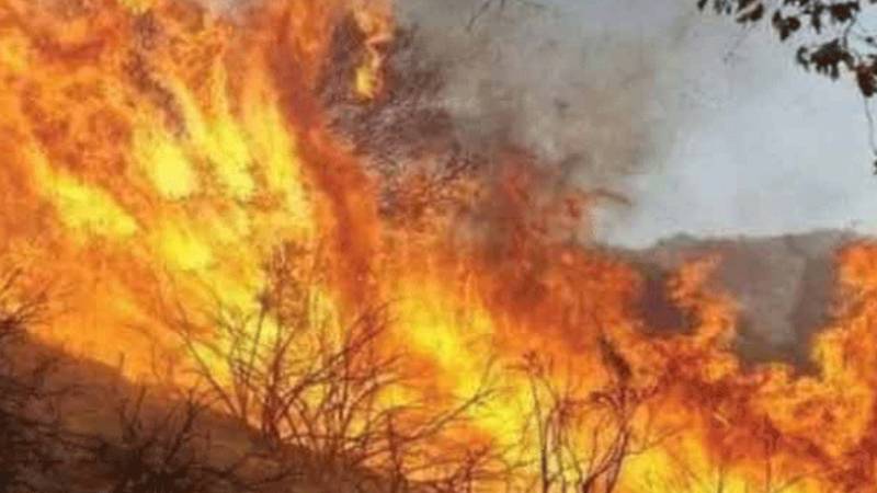 ہزارہ ڈویژن کے جنگلات میں شدید آگ، گلیات اور ایوبیہ سمیت متعدد علاقے متاثر