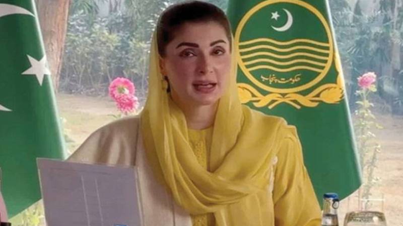 لینڈ پروٹیکشن قانون کی معطلی سے عوام کو قبضہ مافیا کی حمایت محسوس ہوگی: مریم نواز