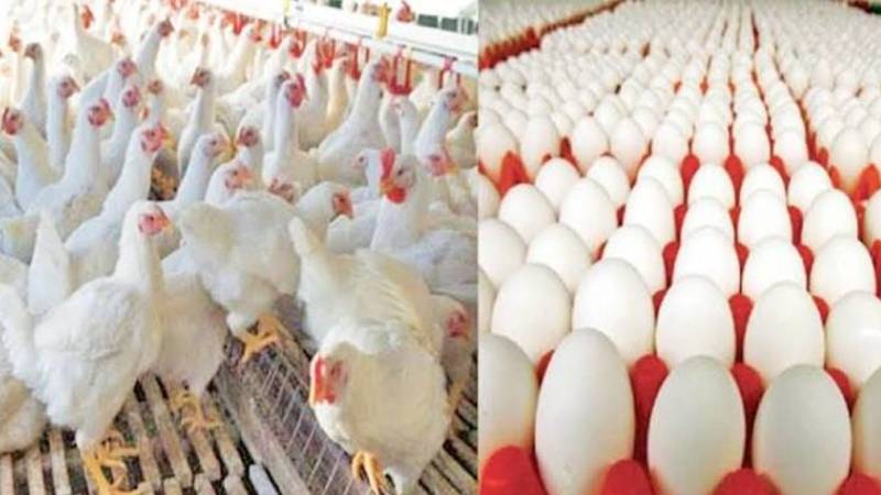 چکن اور انڈے کی قیمتوں میں اضافہ