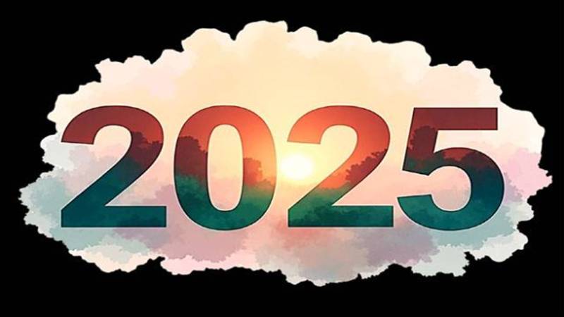 سال 2025: پاکستان کے لیے فیصلہ کن سال، سیاسی، سفارتی اور سلامتی کے اہم اقدامات