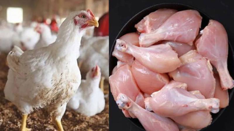 مارکیٹ میں برائلر گوشت کی قیمتوں میں اتار چڑھاؤ جاری