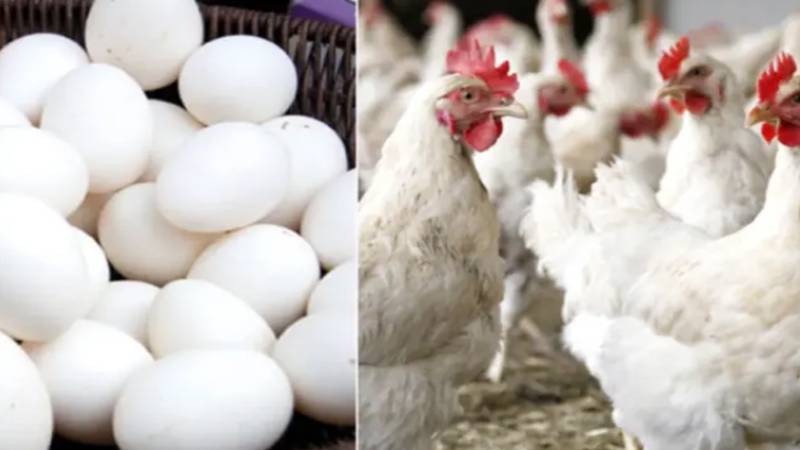 انڈے اور برائلر گوشت کی قیمتیں بلند، مارکیٹ میں مہنگائی کا سلسلہ جاری