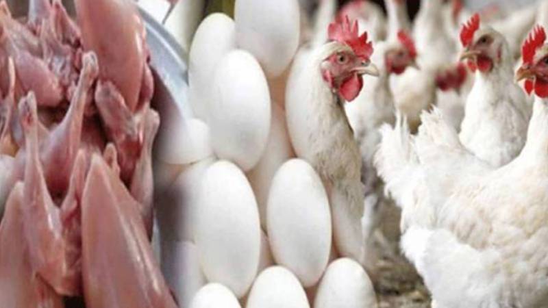مرغی کے گوشت اور انڈوں کی قیمتوں میں مسلسل اضافہ، عوام پریشان