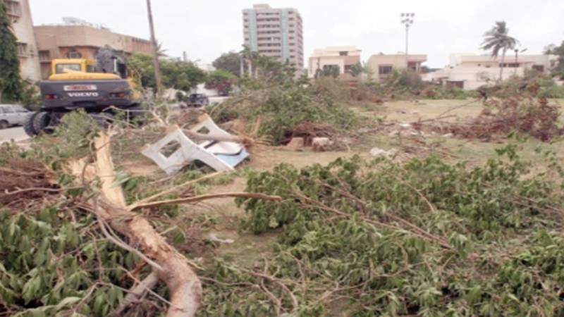 اسلام آباد میں 29 ہزار سے زائد پولن الرجی والے درخت ہٹا دیے گئے