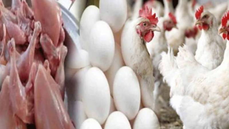 لاہور: چکن اور انڈوں کی بڑھتی قیمتیں عوام کی کمر توڑنے لگیں