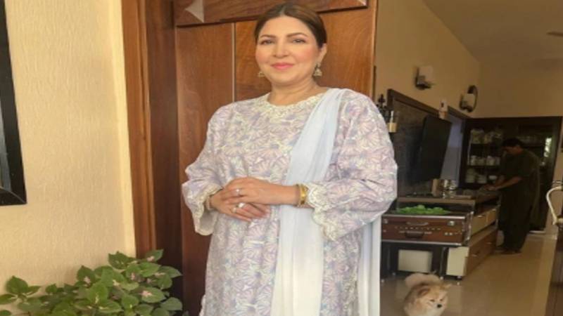اداکارہ شگفتہ اعجاز کی انسٹاگرام پوسٹ پر سوشل میڈیا پر ملا جلا ردِعمل