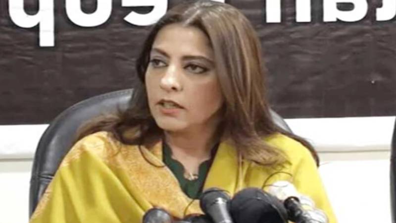 جعلی آرڈیننس لاکر صدر زرداری کے ساتھ باریک واردات ڈالی گئی، پلوشہ خان