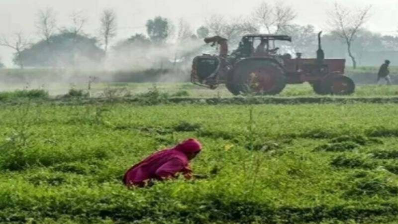 وزیراعلیٰ پنجاب کا زرعی خدمات کو کاشتکاروں کے قریب پہنچانے کا عزم