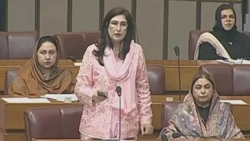 سانحہ گل پلازا: ضروری نہیں کہ حادثے کے وقت وزیراعلیٰ اور وزراء پہنچیں، شہلا رضا