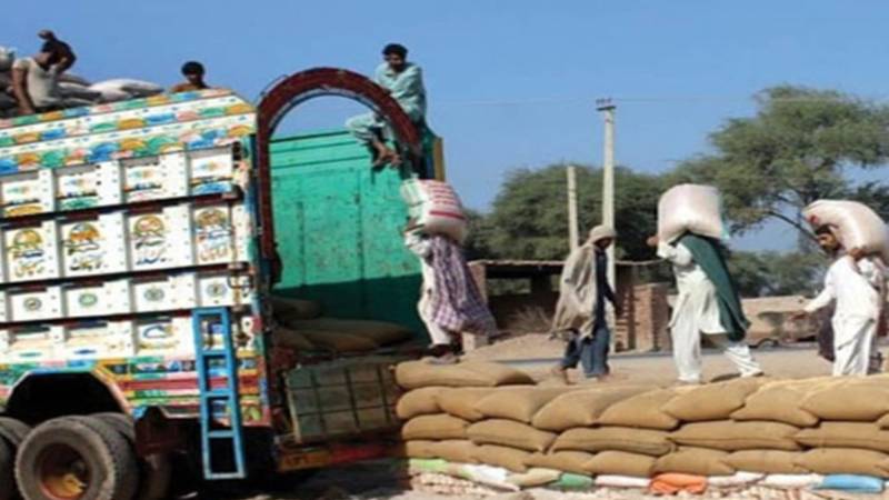 خیبرپختونخوا میں عوامی ریلیف: 1.36 لاکھ ٹن گندم جاری