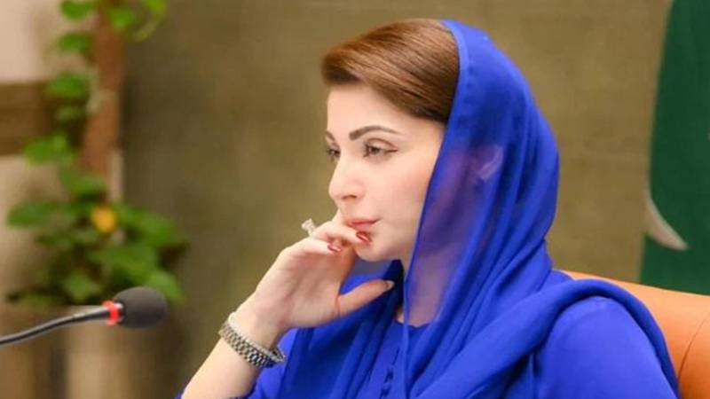پنجاب میں ”اپنا کھیت، اپنا روزگار“ پروگرام کا آغاز، 50 ہزار افراد کو زمین فراہم کرنے کا فیصلہ