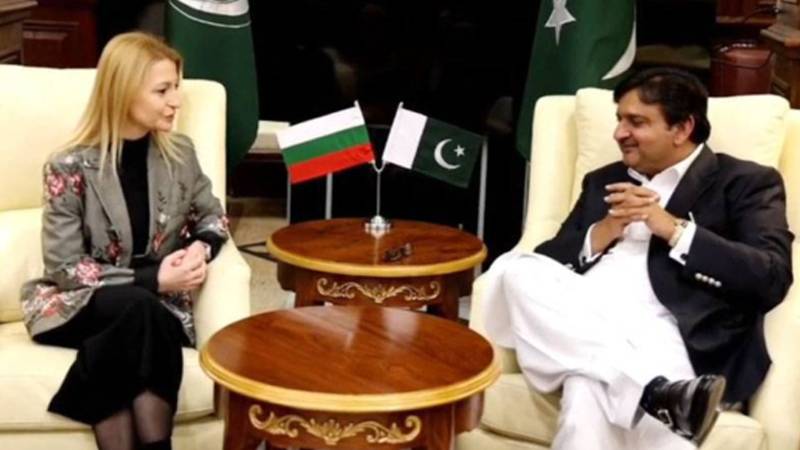 سپیکر پنجاب اسمبلی ملک محمد احمد خاں سے بلغاریہ کی سفیر کی ملاقات، دوطرفہ تعلقات پر تبادلہ خیال