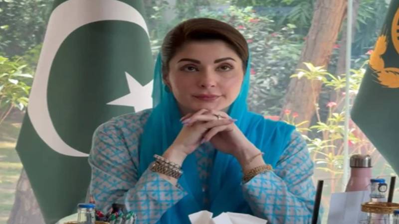 پنجاب میں پالتو شیر پر پابندی، وزیراعلی مریم نواز نے بڑا فیصلہ کر لیا
