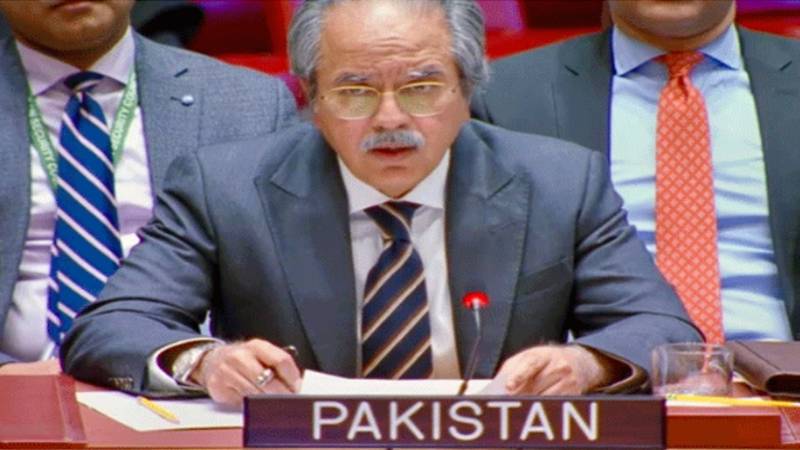 قانون طاقت کے آگے جھکا تو دنیا عدم استحکام کی لپیٹ میں آجائے گی:پاکستان