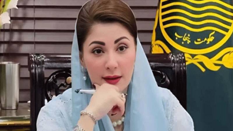 وزیراعلیٰ پنجاب سے میانوالی کے ارکان اسمبلی کی ملاقات، ترقیاتی منصوبوں اور عوامی خدمت پر گفتگو