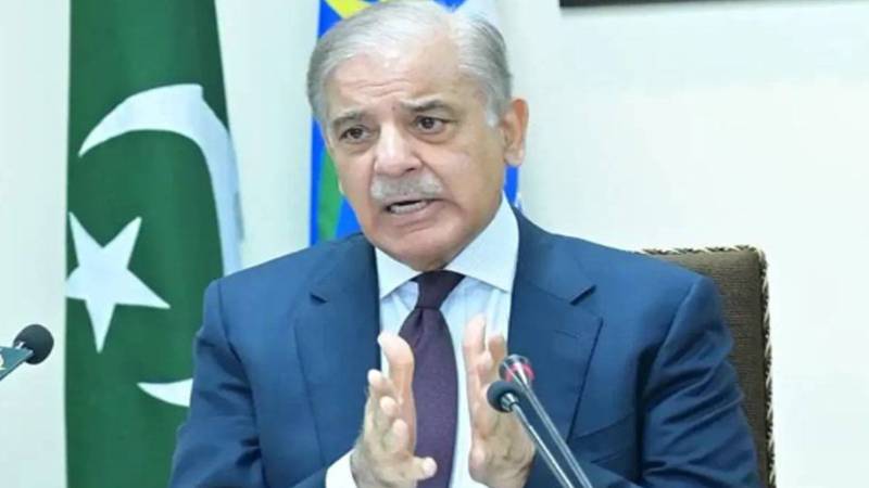 وزیرِ اعظم شہباز شریف نے قومی ٹیم کو آسٹریلیا کے خلاف پہلے ٹی ٹوئنٹی میں فتح پر مبارک باد دی