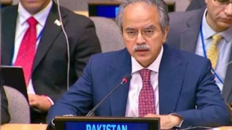 پاکستان نے سلامتی کونسل میں کالعدم بی ایل اے پر عالمی پابندیاں لگانے کا مطالبہ کر دیا