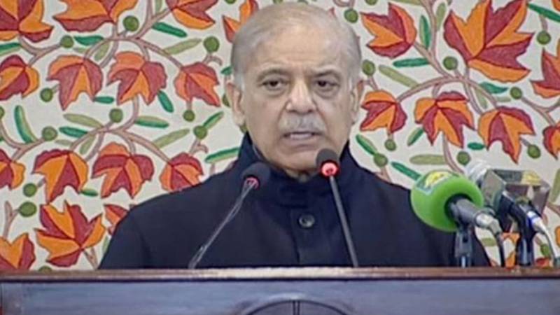 بھارتی کٹھ پتلیوں کا حال انڈین طیاروں کی طرح ہوگا:وزیراعظم شہباز شریف