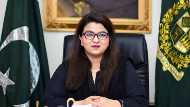 اے آئی کے شعبے میں ایک ارب ڈالر سرمایہ کاری، 10 لاکھ بچوں کو ٹریننگ دی جائے گی: شزا فاطمہ
