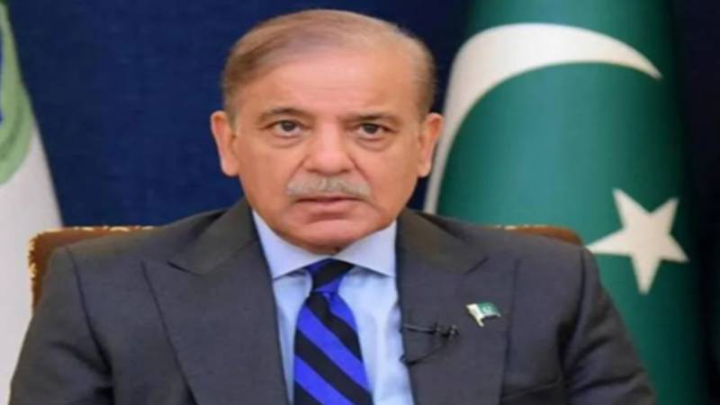 وزیراعظم شہباز شریف نے سولر ریگولیشنز کا نوٹس لے لیا، پاور ڈویژن کو موجودہ صارفین کے تحفظ کے لیے اپیل دائر کرنے کی ہدایت