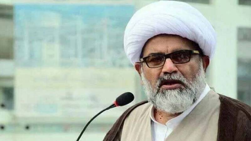 سینیٹ اپوزیشن لیڈر علامہ راجہ ناصر عباس کا دھرنا ختم کرنے کا اعلان