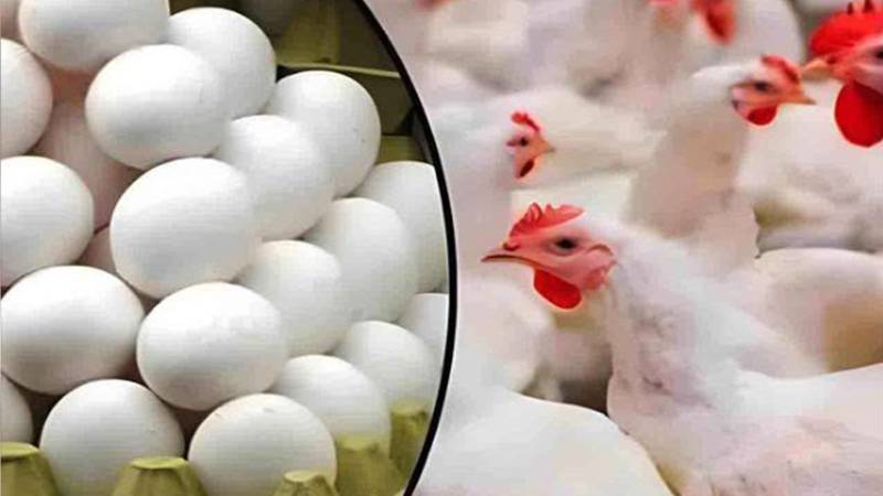 رمضان پر مہنگائی کا مزید اضافہ، برائلر گوشت 36 روپے فی کلو مہنگا