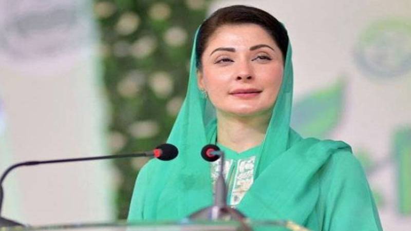 گندم کے کاشتکاروں کیلئے خوشخبری: مریم نواز کا اہم اقدام