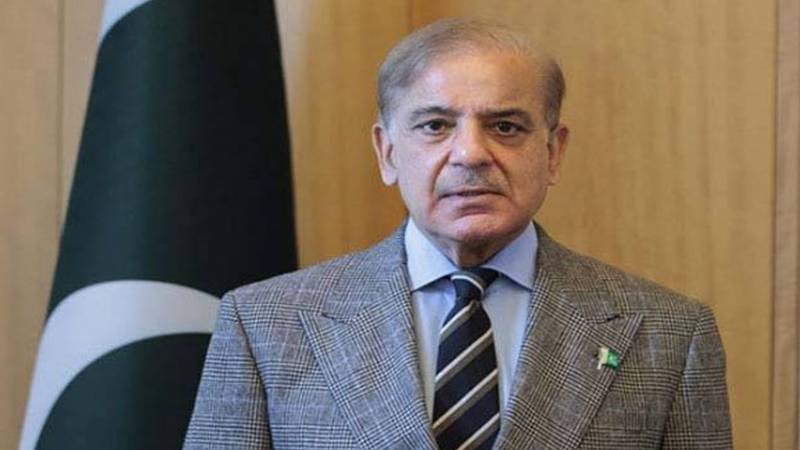 وزیراعظم شہباز شریف کی داجل چیک پوسٹ پر دہشت گرد حملے کی بھرپور مذمت