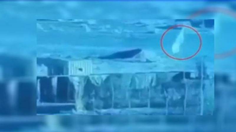 پاک فوج کی فیصلہ کن کاروائی؛افغان طالبان نے سفید جھنڈا لہرا دیا