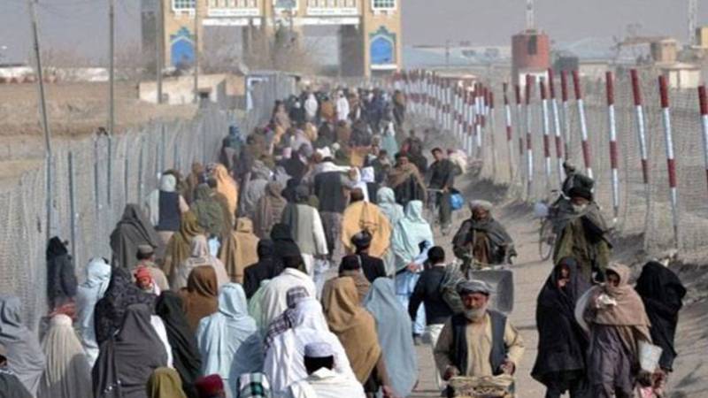 صوبہ بھر میں غیر قانونی مقیم افراد کے خلاف کریک ڈاؤن جاری