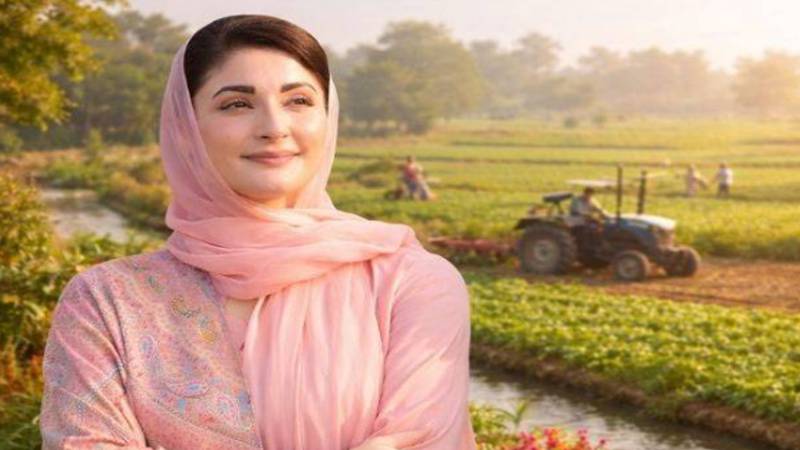 وزیراعلیٰ پنجاب مریم نواز کی زیر صدارت اجلاس، پنجاب میں زرعی اصلاحات کا جامع مشن پیش