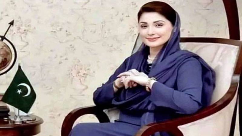 مریم نواز کا پیغام: جنگلی حیات مستقبل کا قیمتی سرمایہ، تحفظ ہمارا فرض