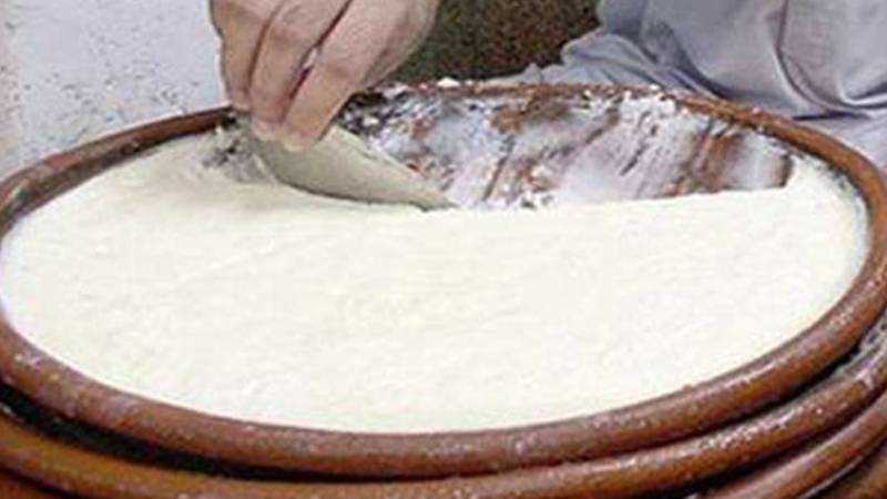 دہی: غذائیت سے بھرپور غذا، جو ہڈیوں، دل اور مدافعتی نظام کے لیے مفید