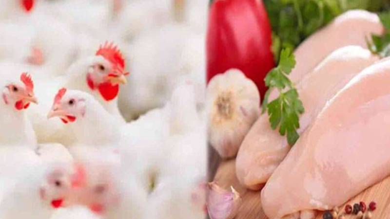 اوپن مارکیٹ میں چکن اور انڈے مہنگے، رمضان سے قبل قیمتوں میں اضافہ