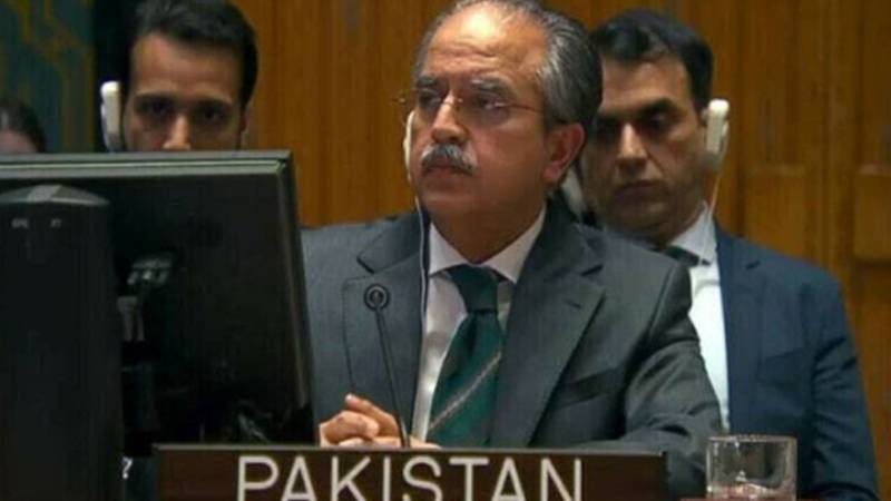 پاکستان نے اقوام متحدہ میں بحرین اور روس کی قراردادوں کی حمایت کی
