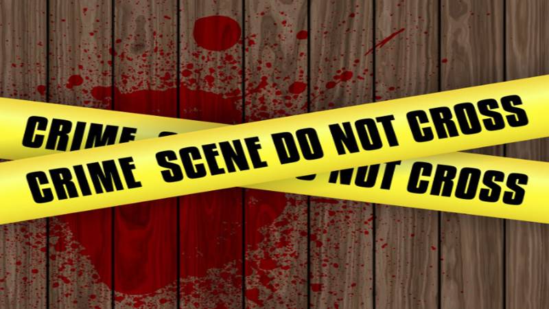 سبزہ زار میں شوہر نے بیوی کو مبینہ طور پر قتل کر دیا