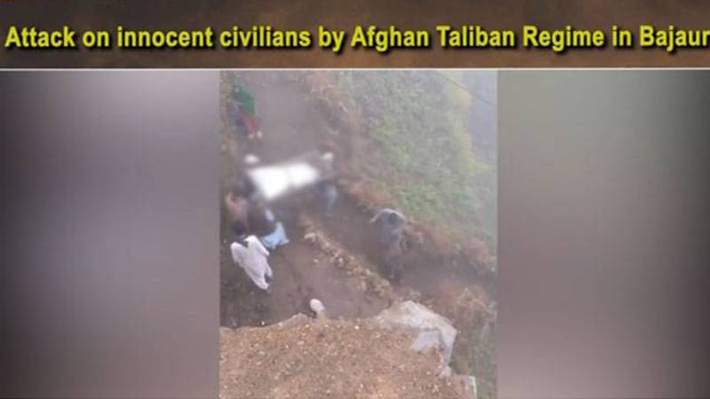 افغان سرحد سے گولہ باری، باجوڑ میں ایک ہی خاندان کے 4 بھائی شہید