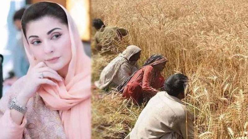 وزیراعلیٰ پنجاب مریم نواز کے 