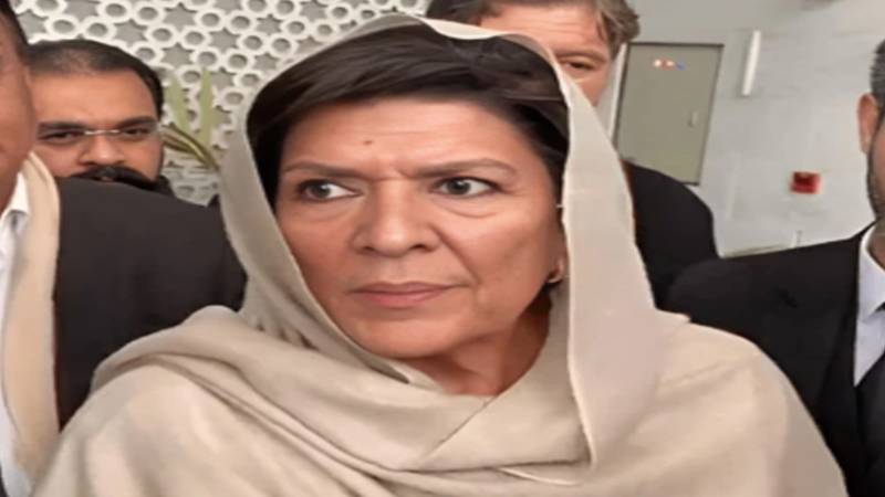 کسی میں ہمت ہے تو جا کر بانی پی ٹی آئی سے مذاکرات کرے، علیمہ خان