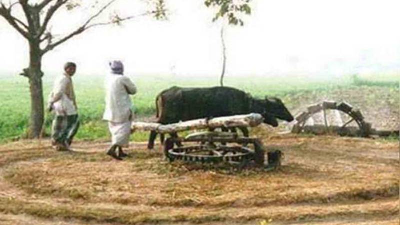 وزیر بلدیات کی زیر صدارت مثالی گاؤں پروگرام کا جائزہ اجلاس، 485 دیہات کو شامل کرنے کا آغاز