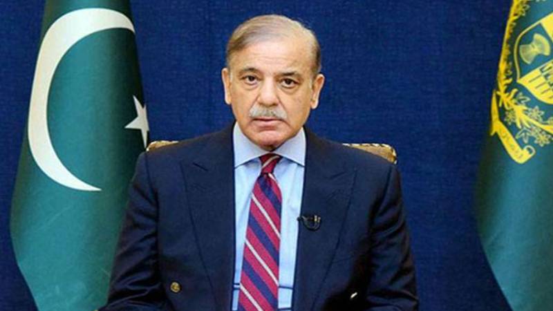 زمین کا تحفظ ہر فرد اور کمیونٹی کی کلیدی ذمہ داری ہے:وزیر اعظم شہباز شریف 
