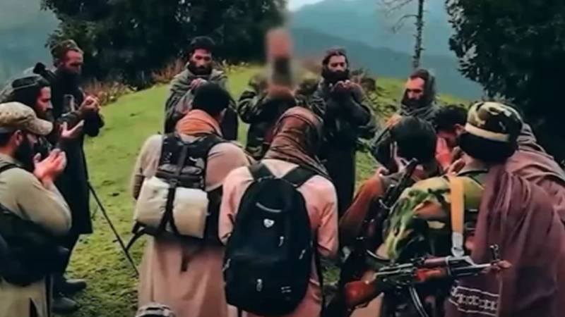 افغانستان میں فتنہ الخوارج کے محفوظ ٹھکانے سامنے آئے، خطے میں سیکیورٹی خدشات میں اضافہ