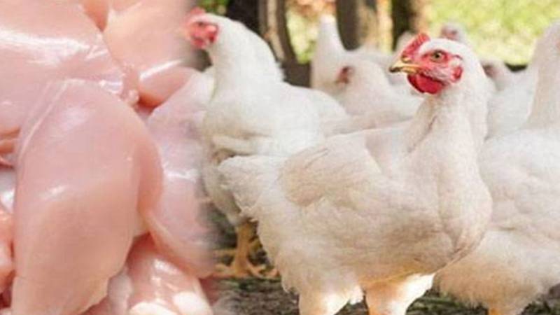 اوپن مارکیٹ میں مہنگائی: برائلر گوشت سرکاری نرخ سے تجاوز کر گیا