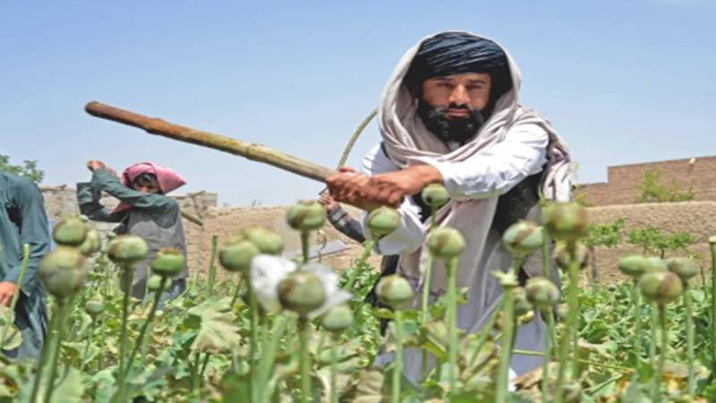 افغان طالبان کے نیٹ ورکس سے خطے کی سیکیورٹی پر خطرات میں اضافہ