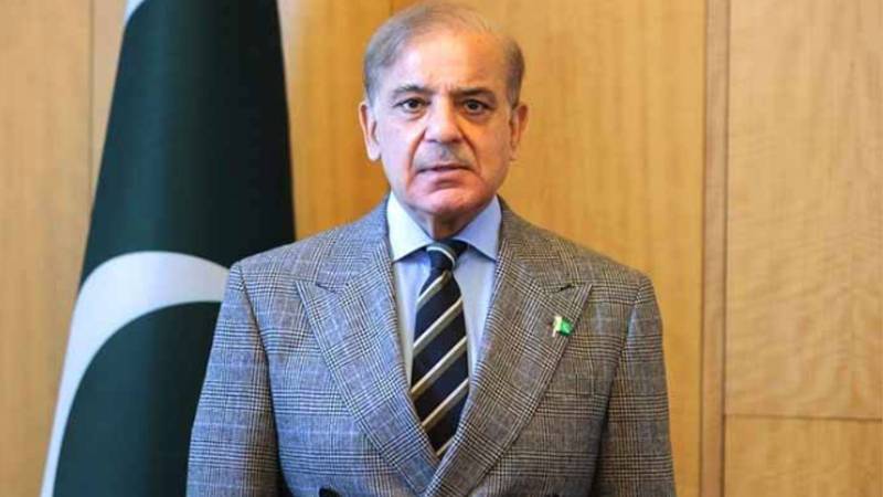 حکومت بزنس ٹو بزنس تعلقات کی ترقی کے لیے ترجیحی اقدامات کر رہی ہے:وزیراعظم محمد شہباز شریف 