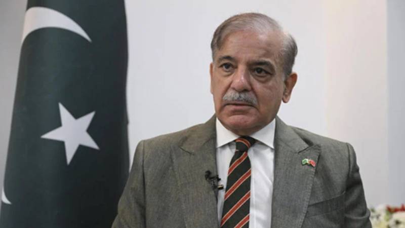 یومِ دستور: وزیراعظم شہباز شریف کا قومی اتحاد اور آئینی بالادستی پر زور