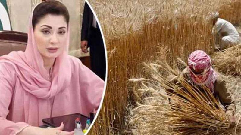 وزیراعلیٰ پنجاب کا کسانوں کے لیے 6 ارب روپے کا مفت باردانہ فراہم کرنے کا اعلان 