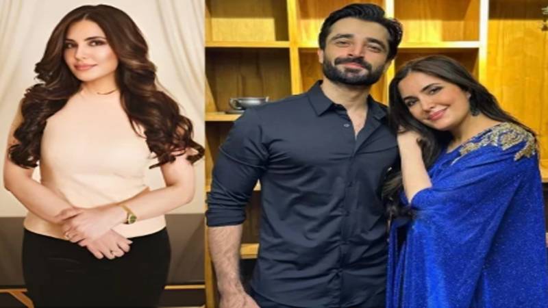 منی لانڈرنگ کیس: عدالت نے حمزہ علی عباسی کی بہن کی گرفتاری پر پابندی عائد کر دی 