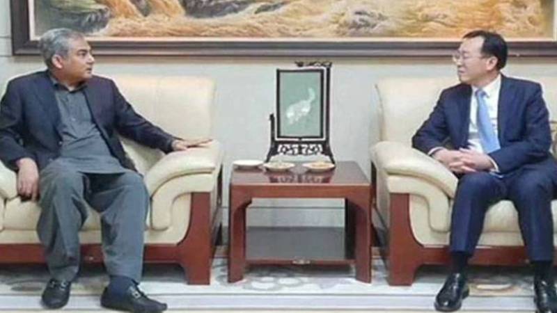 چینی سرمایہ کاروں کو ہر سطح پر سہولتیں فراہم کی جائیں گی: محسن نقوی