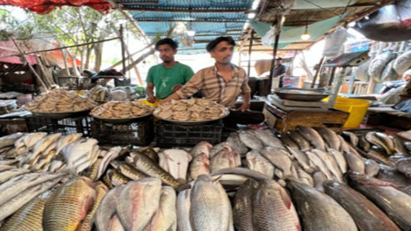 پاکستانی سی فوڈ برآمدات کے لیے روس کو اجازت، حجم 800 ملین ڈالر تک پہنچنے کا امکان 